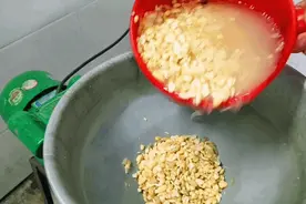 湖南农村手工做豆腐全过程，看完想回老家了图片