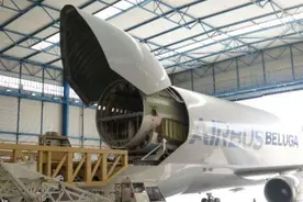 “大白鲸”锁定小众航空货运需求 空客特种运输机将独立运营“接单”图片