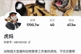照顾几十只东北虎，她在抖音记下这份“育儿日记”，获赞1700万图片