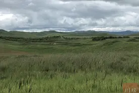 强行科普 | 加入粘合剂，沙漠变绿洲！“沙变土”技术在川西北推广如何？图片