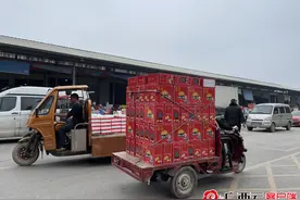 探访广西最大水果批发市场：果品货源足水果放心吃图片