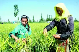 走出大山，奔向红火日子——从宁夏吴忠红寺堡区看易地搬迁移民的致富路图片
