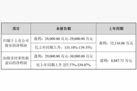 锂电隔膜龙头星源材质业绩增长存“隐忧”，实控人已套现5亿图片