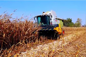 吉林省农村改革：盘活沉睡资源资产，释放改革红利图片