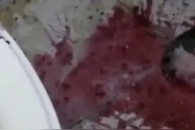 女主播退租不成故意弄脏房子？房东：走法律程序要求对方赔偿图片