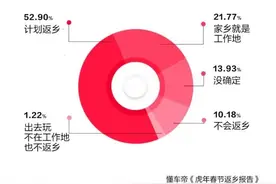 春节返乡报告：回家带酒离乡带肉，是你吗？图片