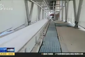 北京冬奥会：中国代表团名单公布  上海三名运动员入选视频封面