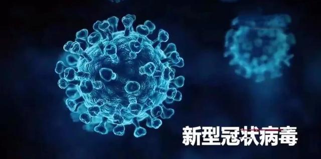 蔬果、肉类会不会有病毒存活？怎样购物更安全？常见食用品、生活用品，照着挑，准没错