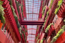 当建筑遇上光影、融合自然……鬼才设计师们在这座城市留下了这些作品图片