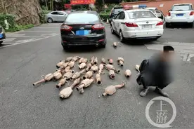 @车主们注意了 快检查自家车辆三元催化器还在没图片