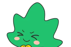 巧制干花，让这份浪漫更长久 丨 小叶子的手工课图片