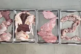 快来看看，虎年年夜饭，老虎吃的啥图片