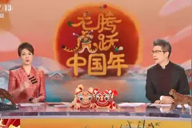 终于有人接住朱广权的段子了！网友：今天怎么没有手语老师图片