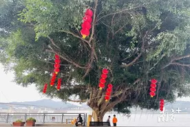 郁南南江口：惠民生造氛围迎新春 居民群众齐齐点赞图片