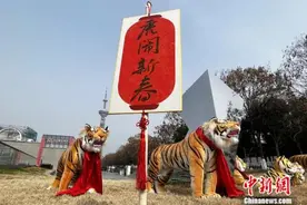 虎年说虎，地球上的老虎是怎么来的？图片