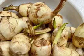 东莞人过年最具话题性的一道菜！有人爱不释口，有人干脆拒绝…图片