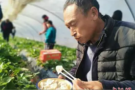 河南草莓大棚村：村民大棚里吃饺子 话“莓”好生活图片
