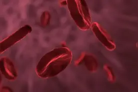 健康长寿的关键血液蛋白被发现，你是那个基因幸运儿吗？图片