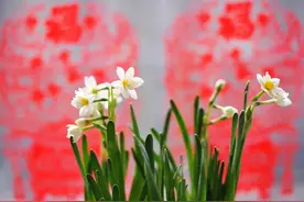 夜读 | 最好的活法：让自己开心，让别人放心，让家人安心图片