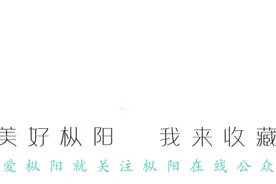 录取结果什么时候可以查询？图片