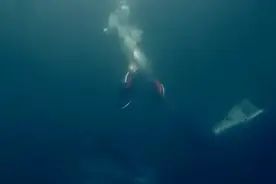 奥运史上首次！“水火相融”图片