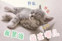 这样掉头，记12分图片