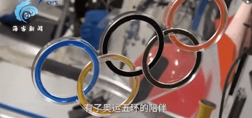东奥会yyds什么意思（关于冬奥会）