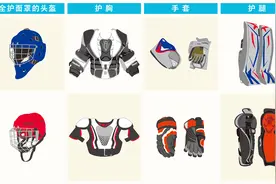 冰雪科学课丨全副武装的奥秘图片