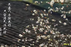 【经典悦读】王冕：不要人夸颜色好，只留清气满乾坤图片