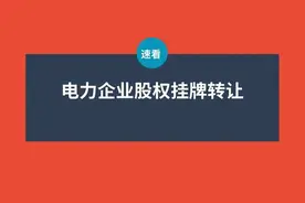 国家电投、国家能源集团、中国电建旗下！多家电力企业股权挂牌转让图片
