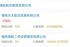 成立三个月的新公司入股海航，信托计划搭建提速图片