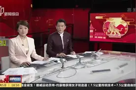 上海：实现禁放区域“零燃放”  烟花爆竹引发“零火灾”视频封面