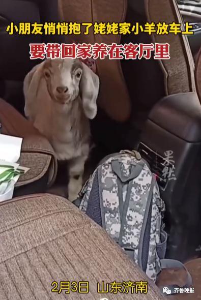 彩虹公主寻珍珠攻略（小朋友悄悄抱姥姥家的羊上车）