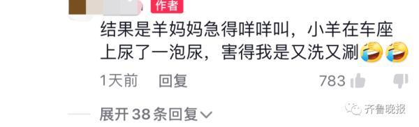 小朋友悄悄抱姥姥家的羊上车，要带回家……网友评论亮了