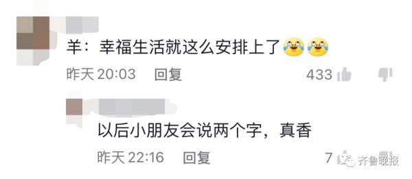 小朋友悄悄抱姥姥家的羊上车，要带回家……网友评论亮了