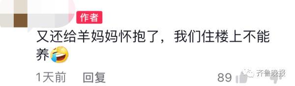 小朋友悄悄抱姥姥家的羊上车，要带回家……网友评论亮了
