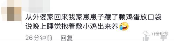 小朋友悄悄抱姥姥家的羊上车，要带回家……网友评论亮了