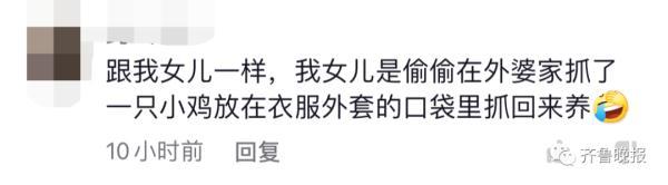 小朋友悄悄抱姥姥家的羊上车，要带回家……网友评论亮了