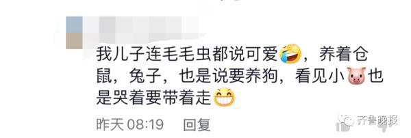 小朋友悄悄抱姥姥家的羊上车，要带回家……网友评论亮了