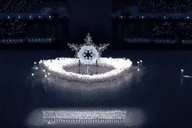 “一只鸽子都不能少！”图片