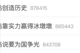 苏翊鸣受国外网友追捧：他是我心中的冠军图片