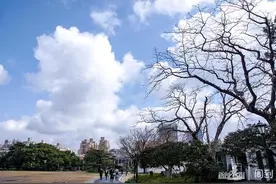 雨后放晴，湛蓝的天空白云朵朵，好天气出门晒晒太阳吧 | 晨镜头图片