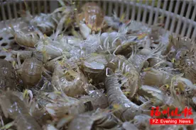 正大量上市！福州人有口福了图片