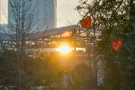 出太阳了！成都10年来最冷春节被终结图片