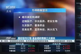 看好后市行情 基金调研青睐三大板块视频封面