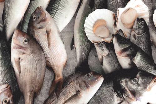 什么人不适合吃鱼胶原蛋白 什么人不能吃鱼胶原蛋白