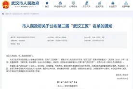 武汉评出20名“武汉工匠”，看看有没有你熟悉的人图片
