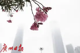 回南天将再度来袭？这份防潮宝典请收好图片