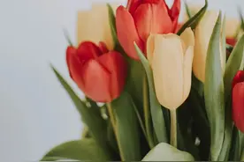 夜读 | 刻在骨子里的教养，都藏在这些细节里图片