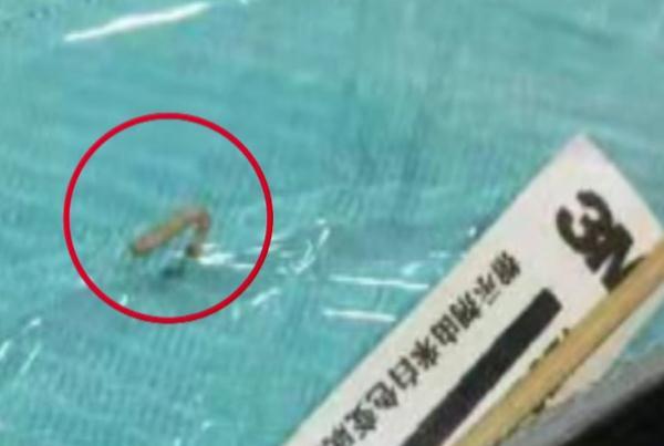 牙疼的起鸡皮疙瘩